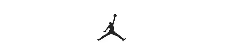 Air Jordan 23