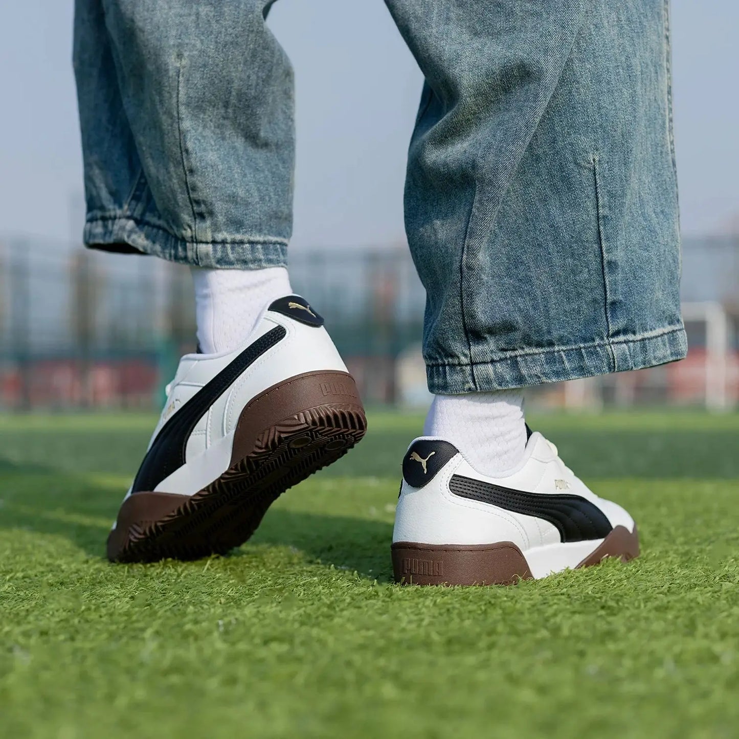 Puma  Tifosi