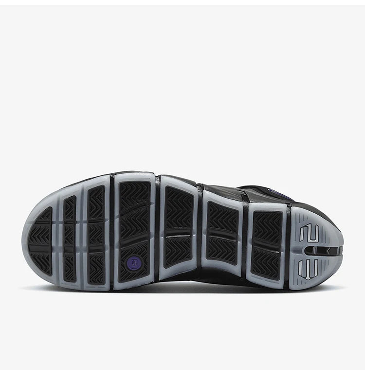 Nike Zoom LeBron